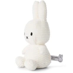 Voorkant -Prenatal 1276920016 2 4EFBC08E7FC40C0CECECA5631DCE57DA